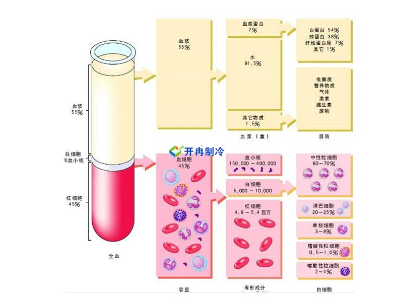 -30℃～-80℃血漿蛋白低溫冷凍庫規(guī)范，冷庫安裝價(jià)格